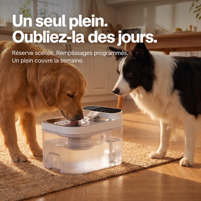 Un seul plein, oubliez-la des jours