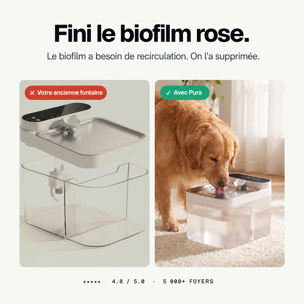 Fini le biofilm rose