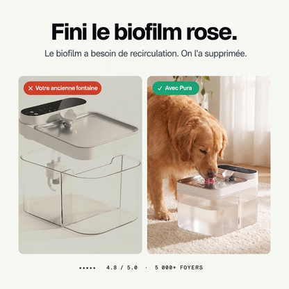 Fini le biofilm rose