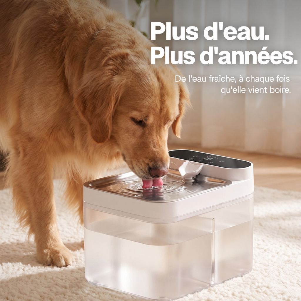 Pura, fontaine à eau sans filtre pour chien avec réservoir scellé et plateau inox