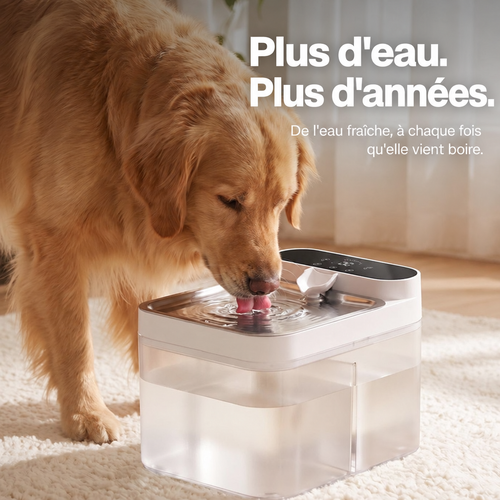 Pura, fontaine à eau sans filtre pour chien avec réservoir scellé et plateau inox