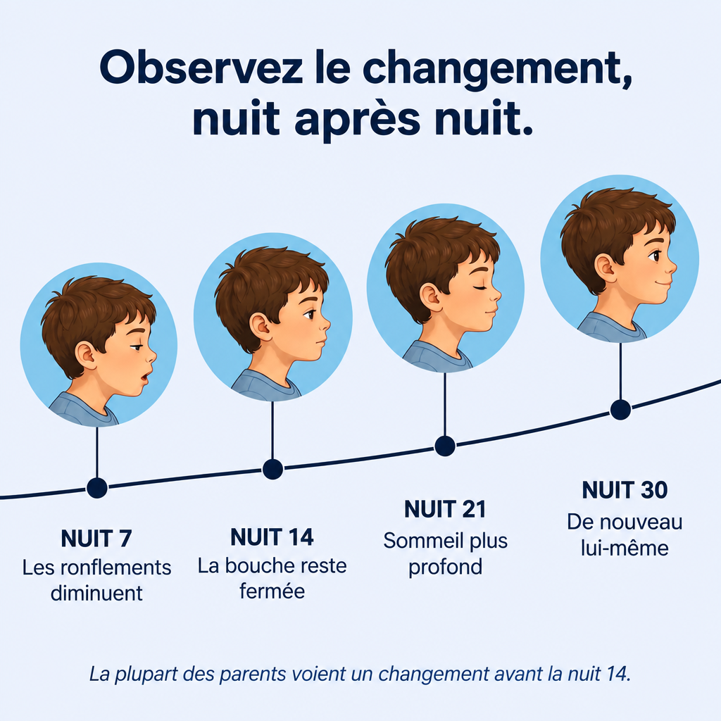 Chronologie sur 30 nuits